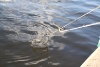 Pictures 049